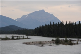 Athabasca Falls